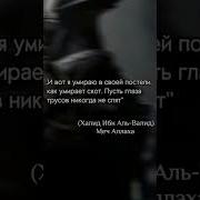 Цитаты Полководцев