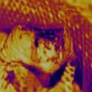 Vanessa Mae Djivan Gasparyan Feelings Secrets Of The Time Rebirth