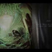 Deathcore Breakdown Compilation