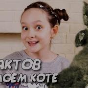 10 Фактов О Коте Бегемоте
