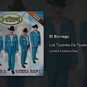 Los Tucanes De Tijuana El Borrego