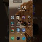 Shazam Dasturi Orqali Musiqa Izlash