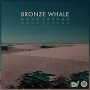 Bronze Whale Good Enough