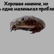 Хорошее Мнение Но Есть Одна Маленькая Проблема