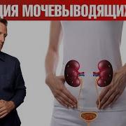 Лечение Мочеполовой Системы