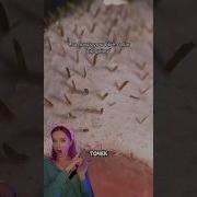 Удаление Черных Точек Крупным Планом