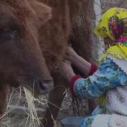 Оби Дари Кӯча Қадр Надорад