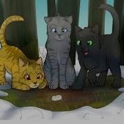 Коты Воители Клип Там Где Нас Нет Заказ