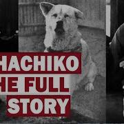 Hachiko Chuken Hachiko Story Of The Loyal Dog