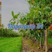 24 Параграф Биология 5 Класс