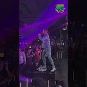 Кавер Розовые Розы