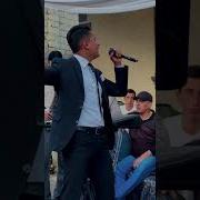 Зулфикор Чорбоги Боло