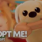 Обновление Pet Shop В Adopt Me Roblox