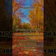 Модар Лоик Шерали