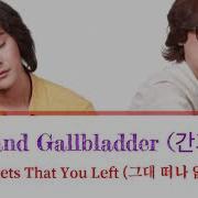 Liver And Gallbladder 간과 쓸개 The Streets That You Left Ost When The