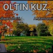 Oltin Kuz