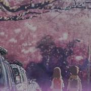 Amv 5 Centimeters Per Second 5 Сантиметров В Секунду