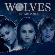 Wolves The Megamix Feat Selena Gomez Ariana Grande Camila Cabello