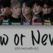 Sf9 Now Or Never Lyrics