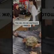 У Вас Картошка Бесплатная