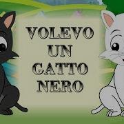 Gatto Nero