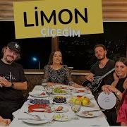 Aylin Demir Limon Çiçeğim