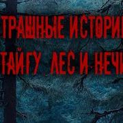 Страшные Истории Про Тайгу Демоны Лешие