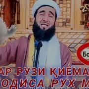 Мавлави Ахмад Фируз 2025