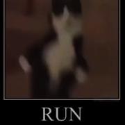 Run Now Meme