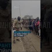 Кто Вербует На Контракт
