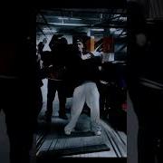 Фары Цвет Мускари Еду На Посадке С Пацанами