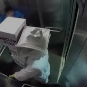 Пчёлы В Лифте Розыгрыш