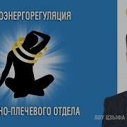 Лекция По Восстановлению Здоровья Бэм Fohow