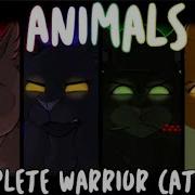 Animals Коты Воители Русский