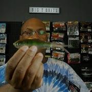 Live Target S New Skip Shad