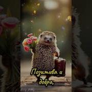 Пусть Утро Будет Добрым И Счастливым День