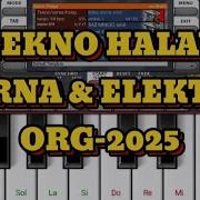 Tekno Halay Zurna Elektro Org 2025