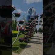 В Грозном Открыли Цветочный Парк