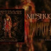 Meshuggah Immutable Full Album
