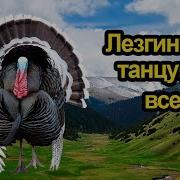 Индюк Танцует