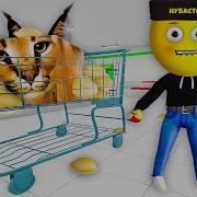 Я Хочу Залесть Тебе Под Рубашку