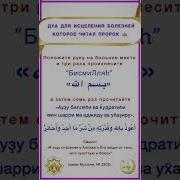 Дуа От Болезни Почек