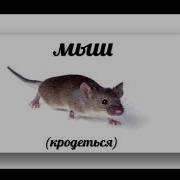 Мышь Крадется Мем