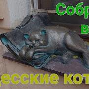 Одесский Кот