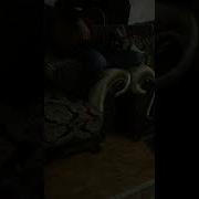 Тховса Кхетта Сирла Седа