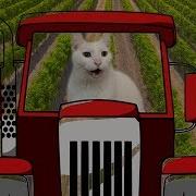 Old Macdonald Had A Farm Cats Version Singing Cats