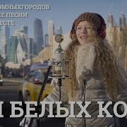 Песня В Новой Оранжеровке Три Белых Коня