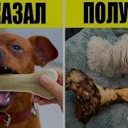 Ожидание Реальность