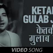 Ketaki Gulab Juhi