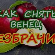 Игорь Попович Венец Безбрачия